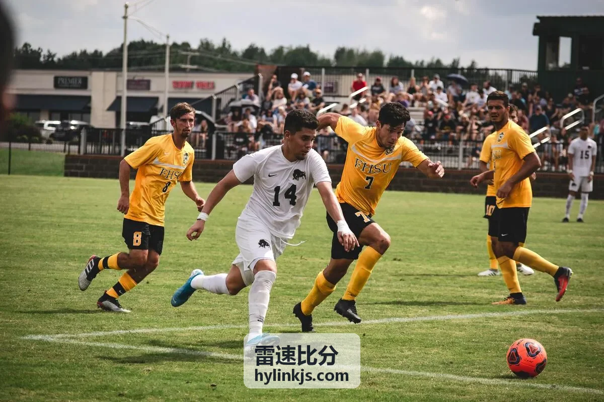 雷速比分实时数据仪表板展示