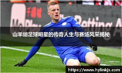 bsports必一登录入口